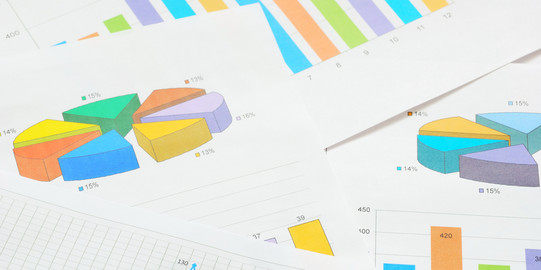 charts Coloured pie and bar charts